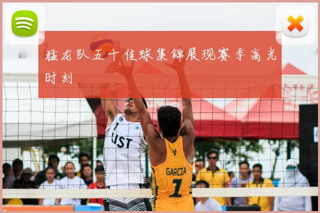 猛龙队五十佳球集锦展现赛季高光时刻