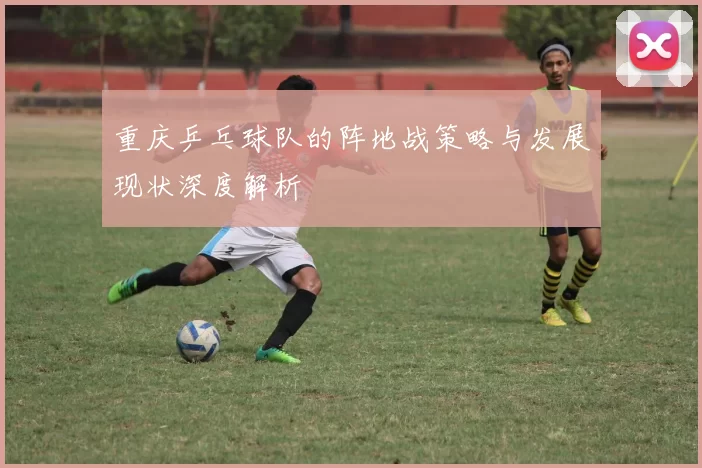 重庆乒乓球队的阵地战策略与发展现状深度解析