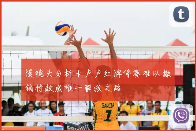 慢镜头分析卡卢卢红牌停赛难以撤销特赦成唯一解救之路