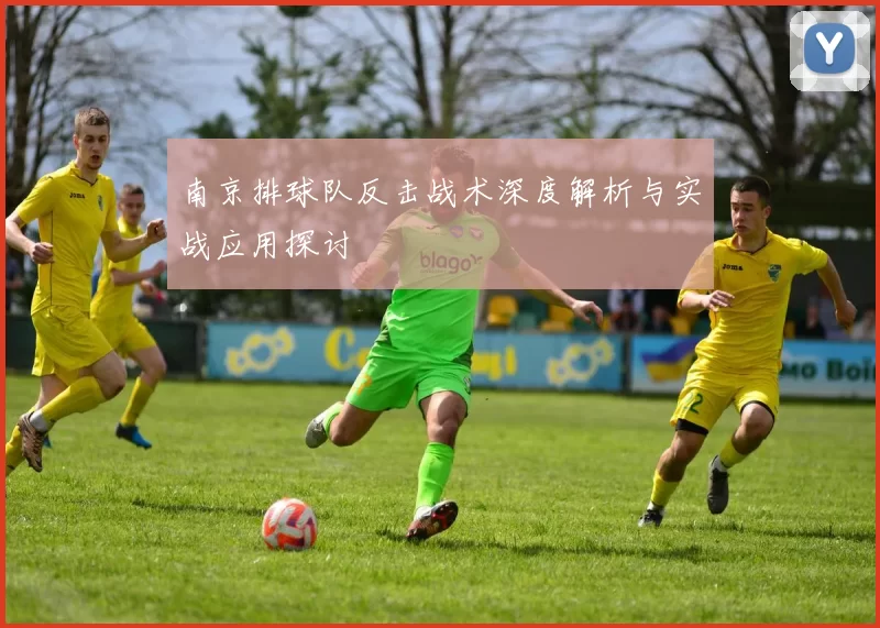 南京排球队反击战术深度解析与实战应用探讨