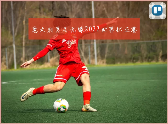 意大利男足无缘2022世界杯正赛