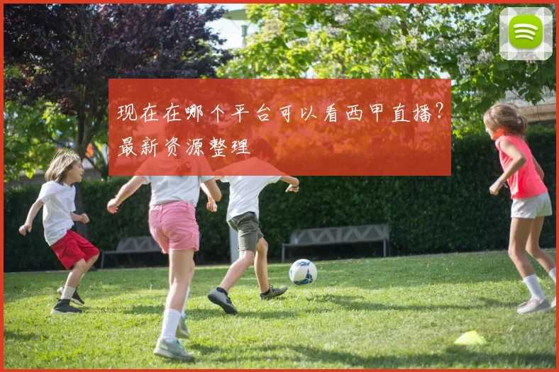 现在在哪个平台可以看西甲直播?最新资源整理