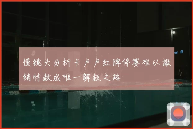 慢镜头分析卡卢卢红牌停赛难以撤销特赦成唯一解救之路