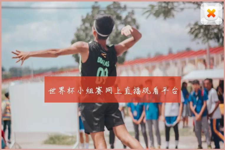 世界杯小组赛网上直播观看平台