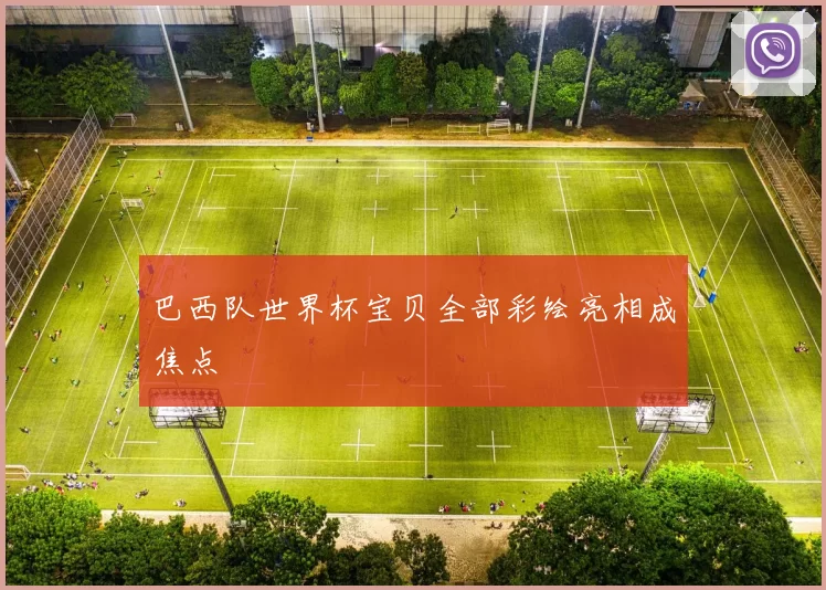 巴西队世界杯宝贝全部彩绘亮相成焦点