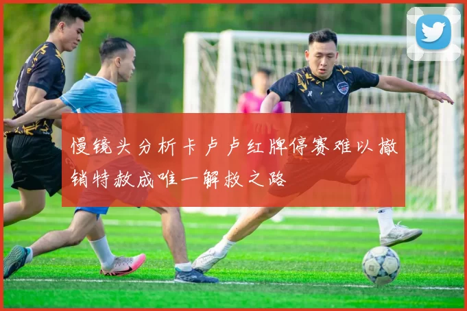 慢镜头分析卡卢卢红牌停赛难以撤销特赦成唯一解救之路