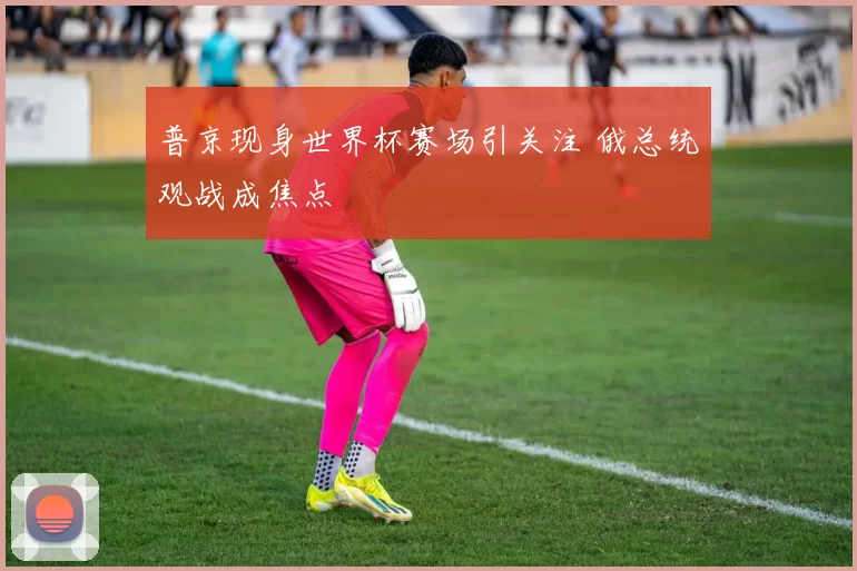 普京现身世界杯赛场引关注 俄总统观战成焦点