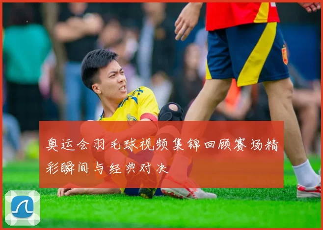 奥运会羽毛球视频集锦回顾赛场精彩瞬间与经典对决