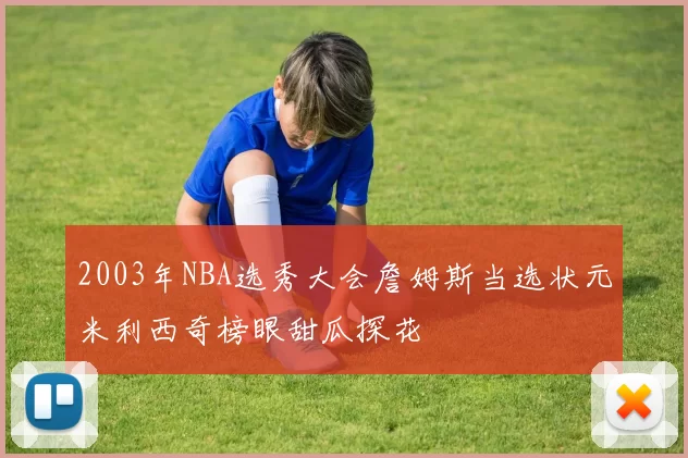 2003年NBA选秀大会詹姆斯当选状元米利西奇榜眼甜瓜探花
