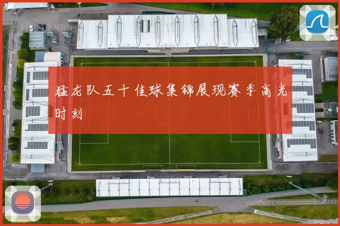 猛龙队五十佳球集锦展现赛季高光时刻