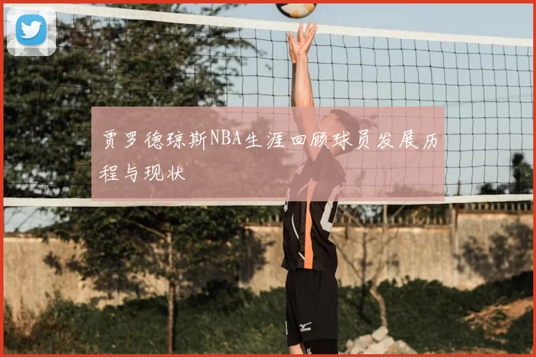 贾罗德琼斯NBA生涯回顾球员发展历程与现状