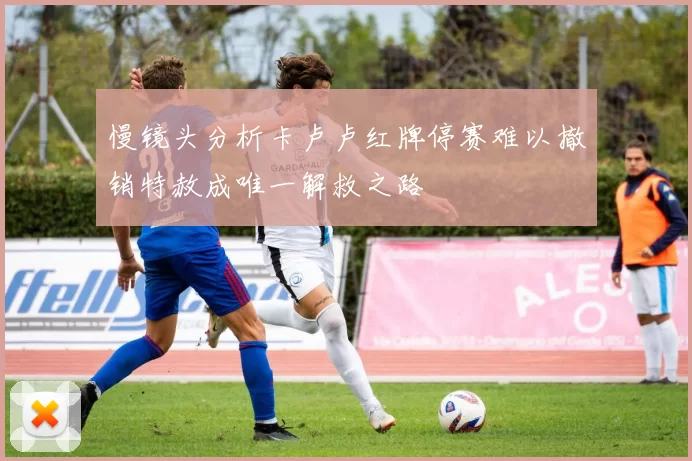 慢镜头分析卡卢卢红牌停赛难以撤销特赦成唯一解救之路