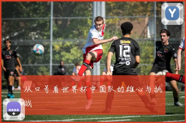 从口号看世界杯中国队的雄心与挑战