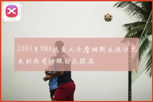 2003年NBA选秀大会詹姆斯当选状元米利西奇榜眼甜瓜探花