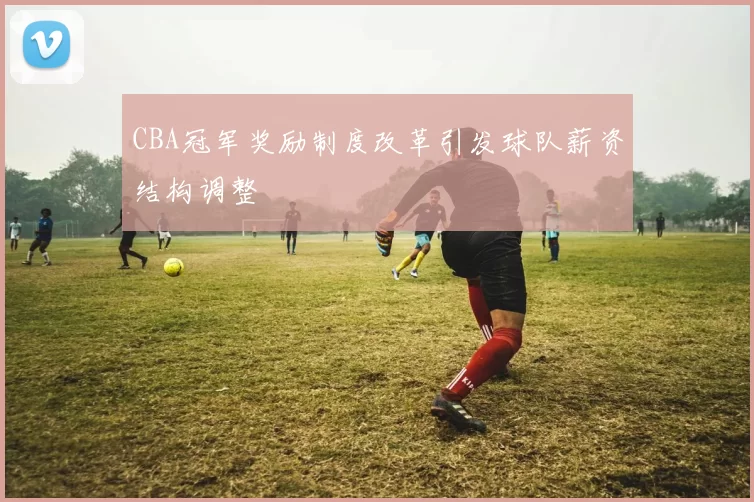 CBA冠军奖励制度改革引发球队薪资结构调整