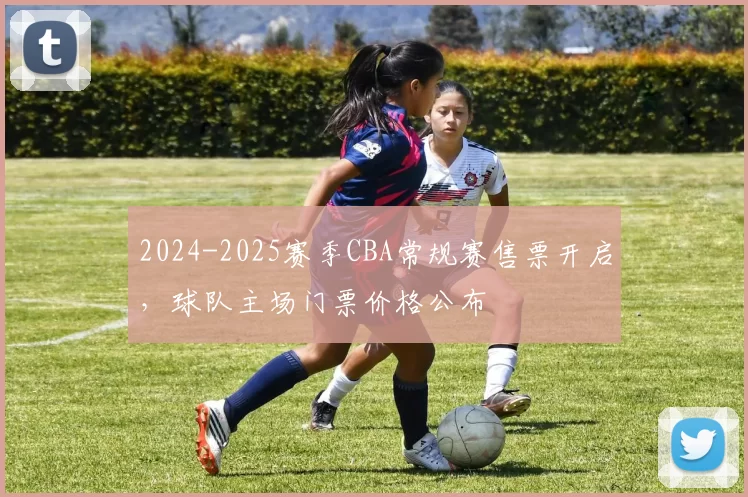 2024-2025赛季CBA常规赛售票开启，球队主场门票价格公布
