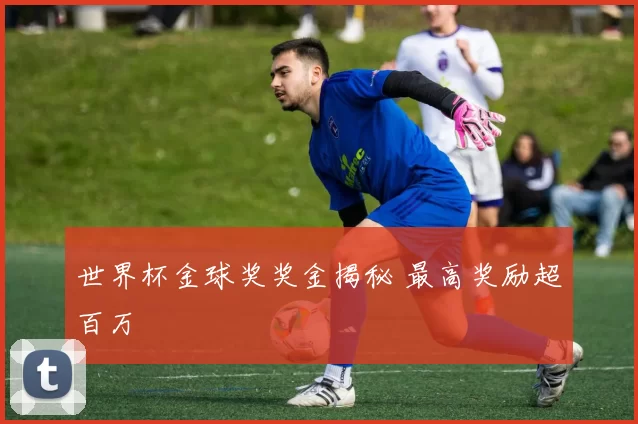 世界杯金球奖奖金揭秘 最高奖励超百万