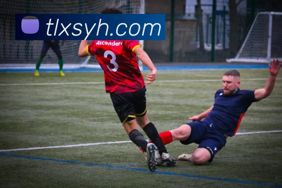 App Interface Preview